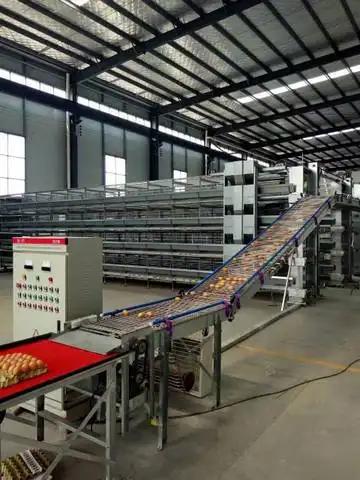 Supplier