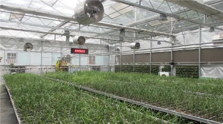 Jiangsu Skyplant Greenhouse Technology Co., Ltd.