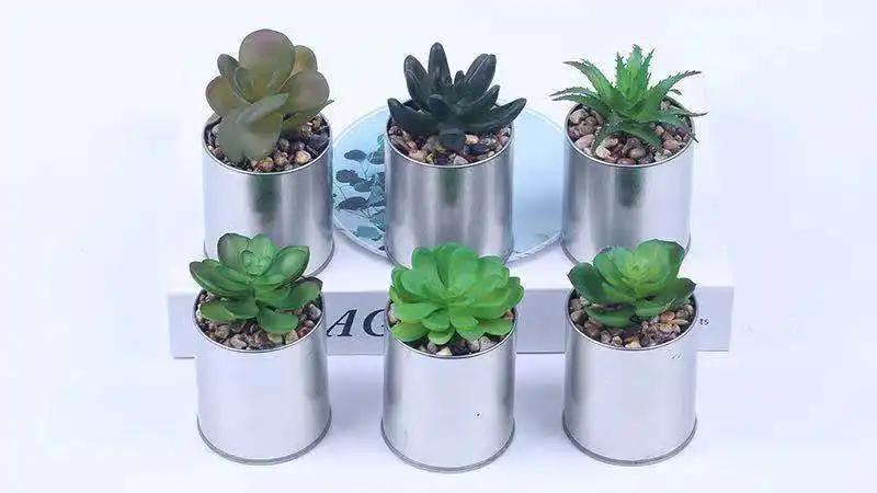 Supplier