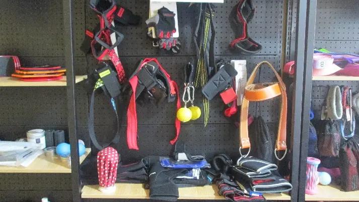 Yangzhou Sevenstar Sports Goods Co., Ltd.