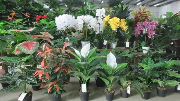 Zhejiang Jia Wei Arts And Crafts Co., Ltd.