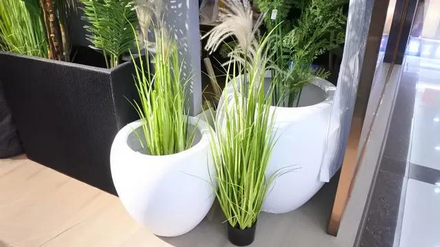 Foshan Nature Space Design Co., LTD