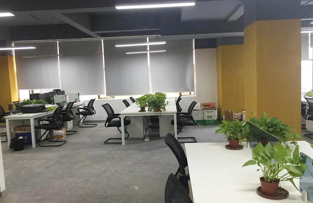 Guangzhou Kaiyue Imp & Exp Co., Ltd.