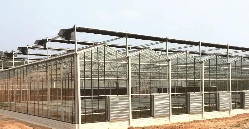 Supplier