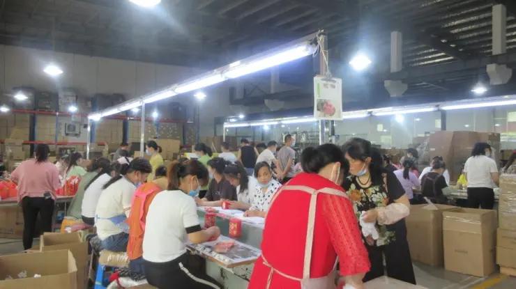 Supplier