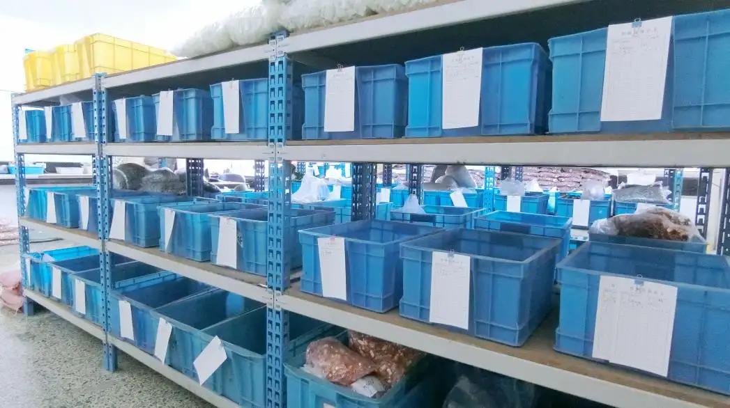 Guolong Electric Co., Ltd.