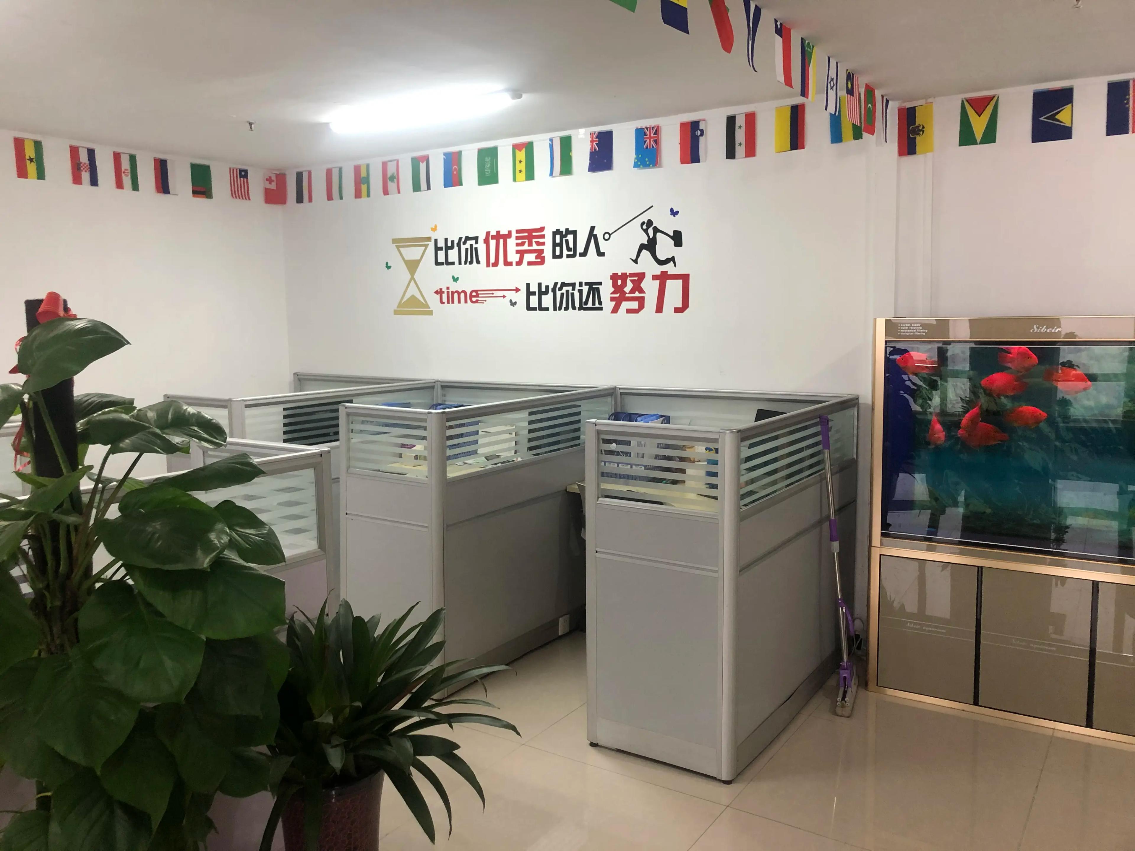Shijiazhuang Lingjie Trading Co., Ltd.