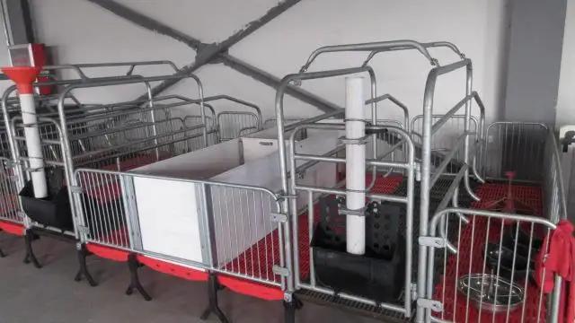 Shandong Goldenest Machinery Manufacturing Co., Ltd.