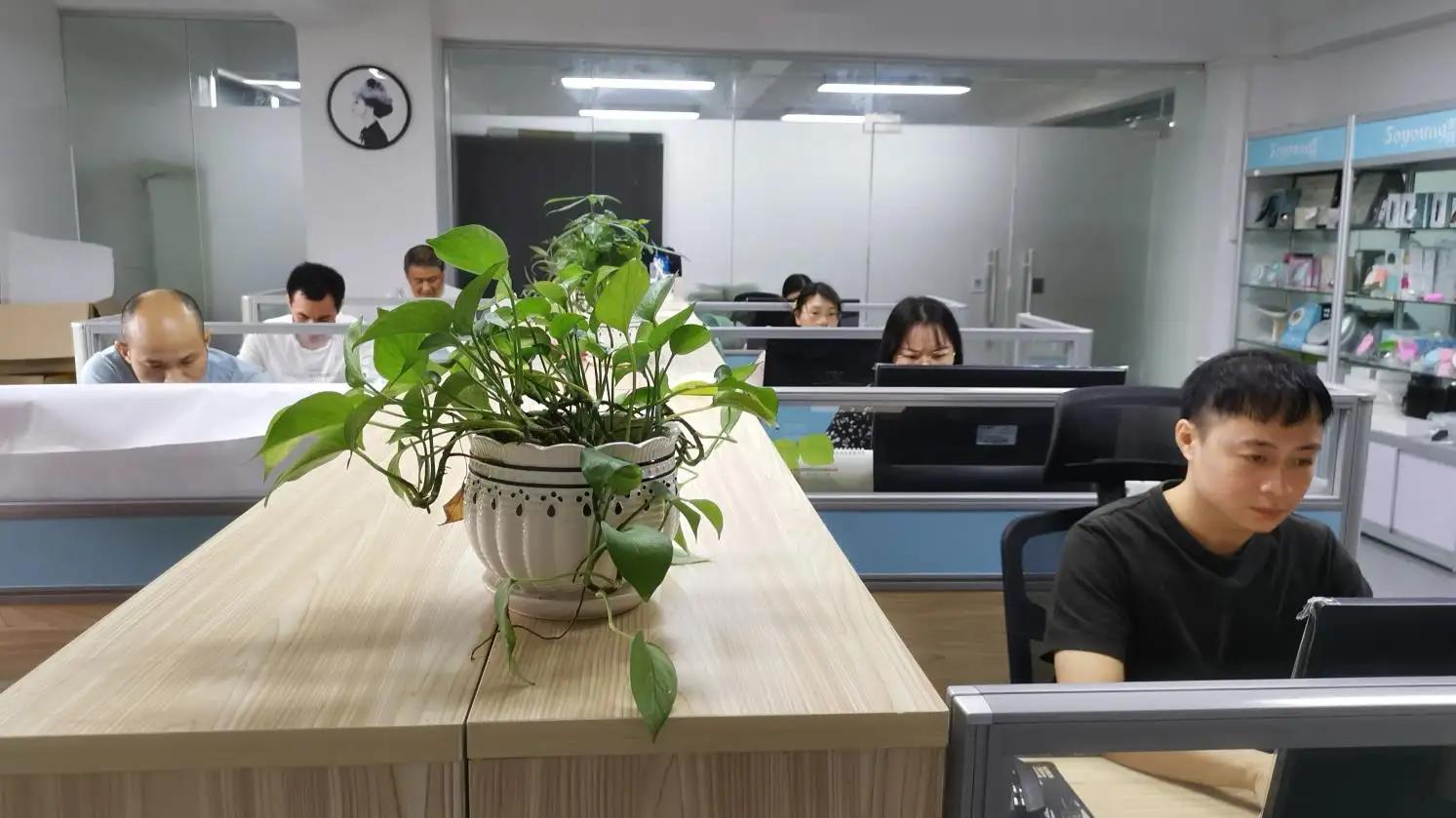 Shenzhen Soyoung Technology Development Co., Ltd.