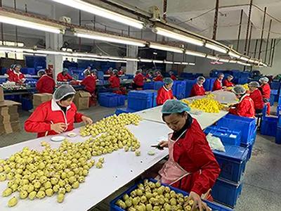 Dongguan Jiujie Toys Manufacturing Co., Ltd.