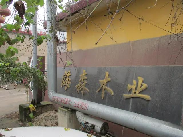 Linyi Haisen Wood Co., Ltd.