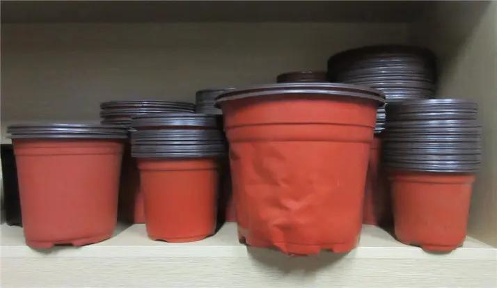 Xiamen Xiexinlong Technology Co., Ltd.