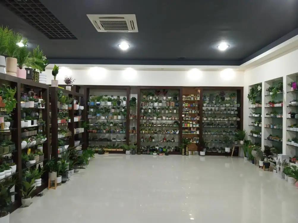 Chaozhou Yuanwang Ceramic Co., Ltd.