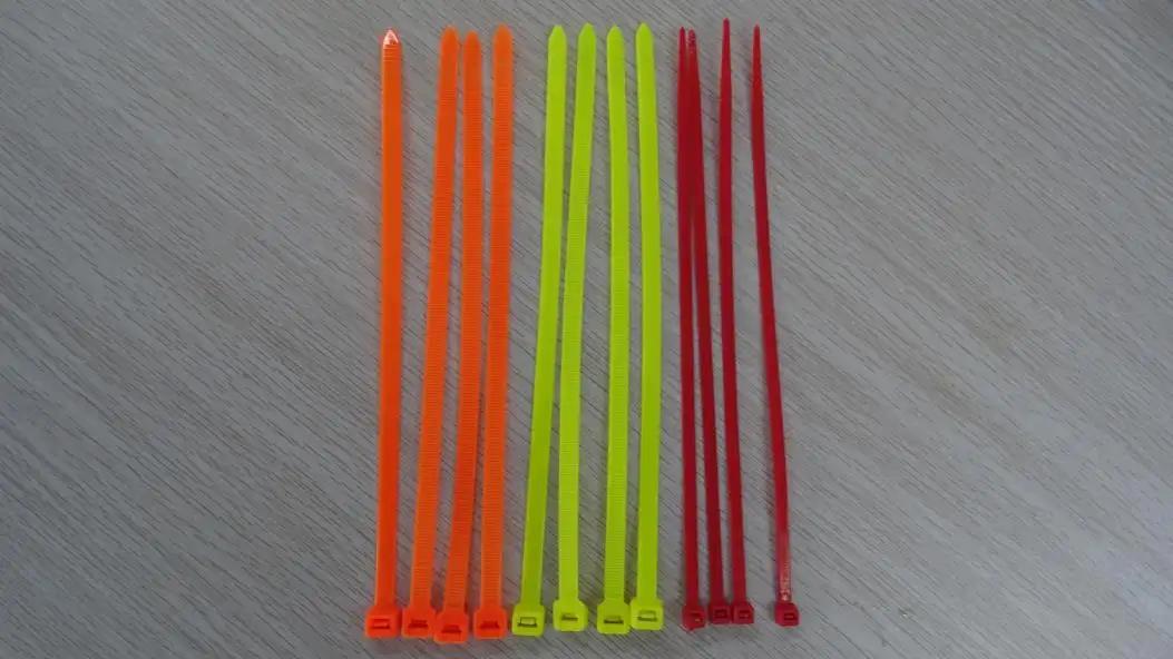 Zhejiang Igoto Electric Co., Ltd.