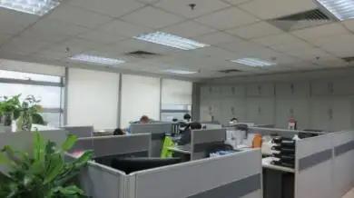 Shanghai Dynamic Medical Supplies Co., Ltd.