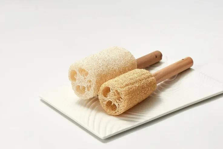 MS Rhong Co., Ltd.