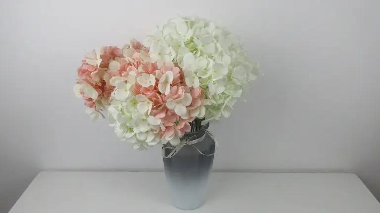 Chongqing Kexinnuo Imp & Exp Trading Co., Ltd.