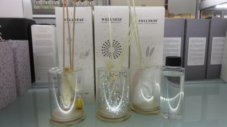 Shanghai Wellness Crafts Co., Ltd.