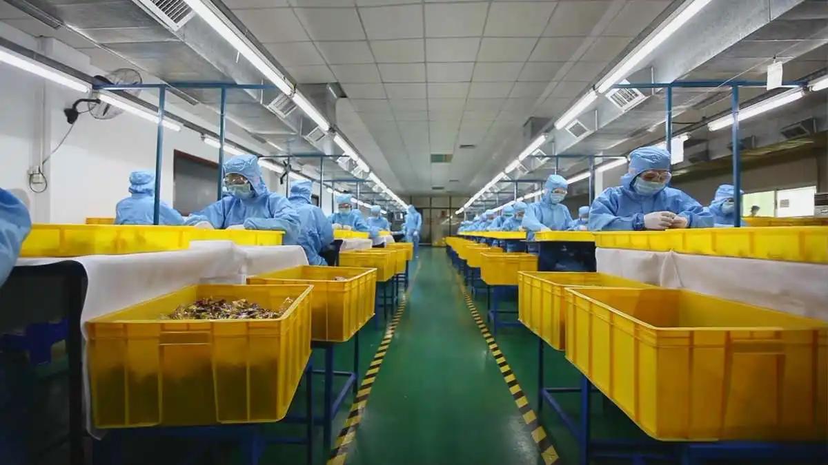 Dongguan Zhongxin Long Plastic Toys And Gifts Co., Ltd.