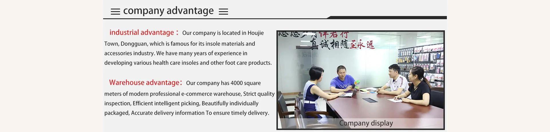 Dongguan Zesheng Technology Co., Ltd.