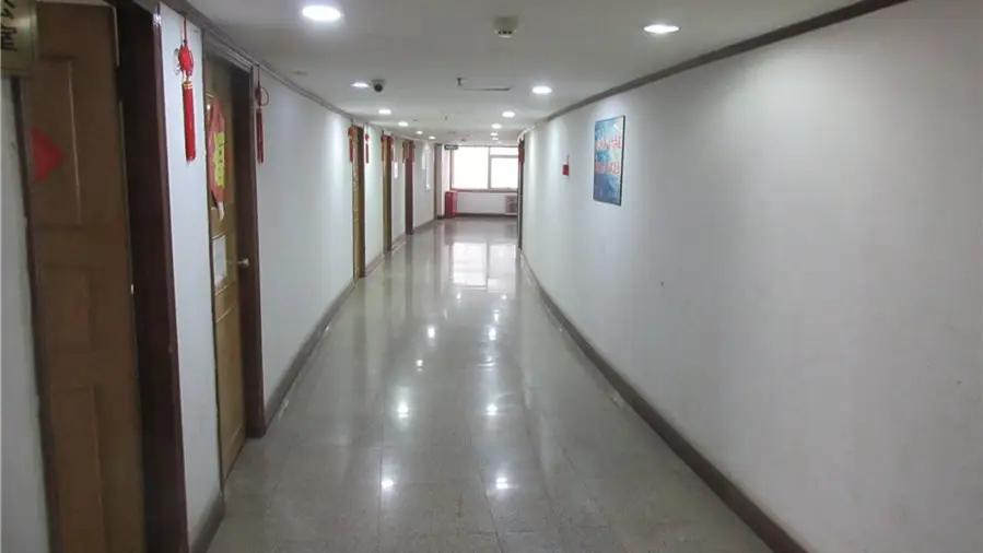 Shandong Haijin International Trading Co., Ltd.