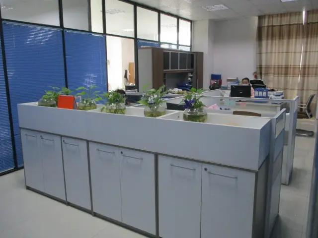 Dongguan City Jilong Bags Co., Ltd.