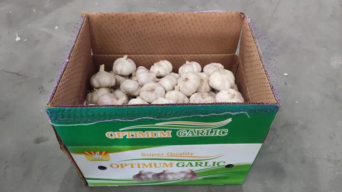 Jining Optimum Fruits & Vegetables Co., Ltd.