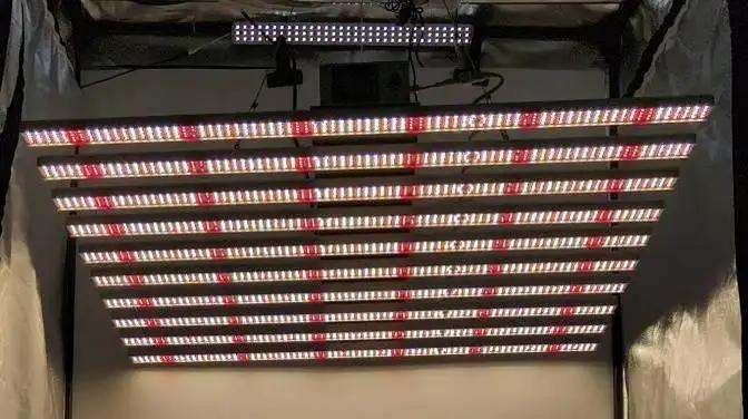 Shenzhen Avatar Optoelectronic Technology Co., Ltd.