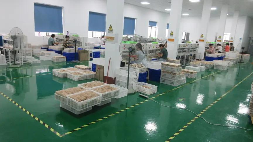 Supplier