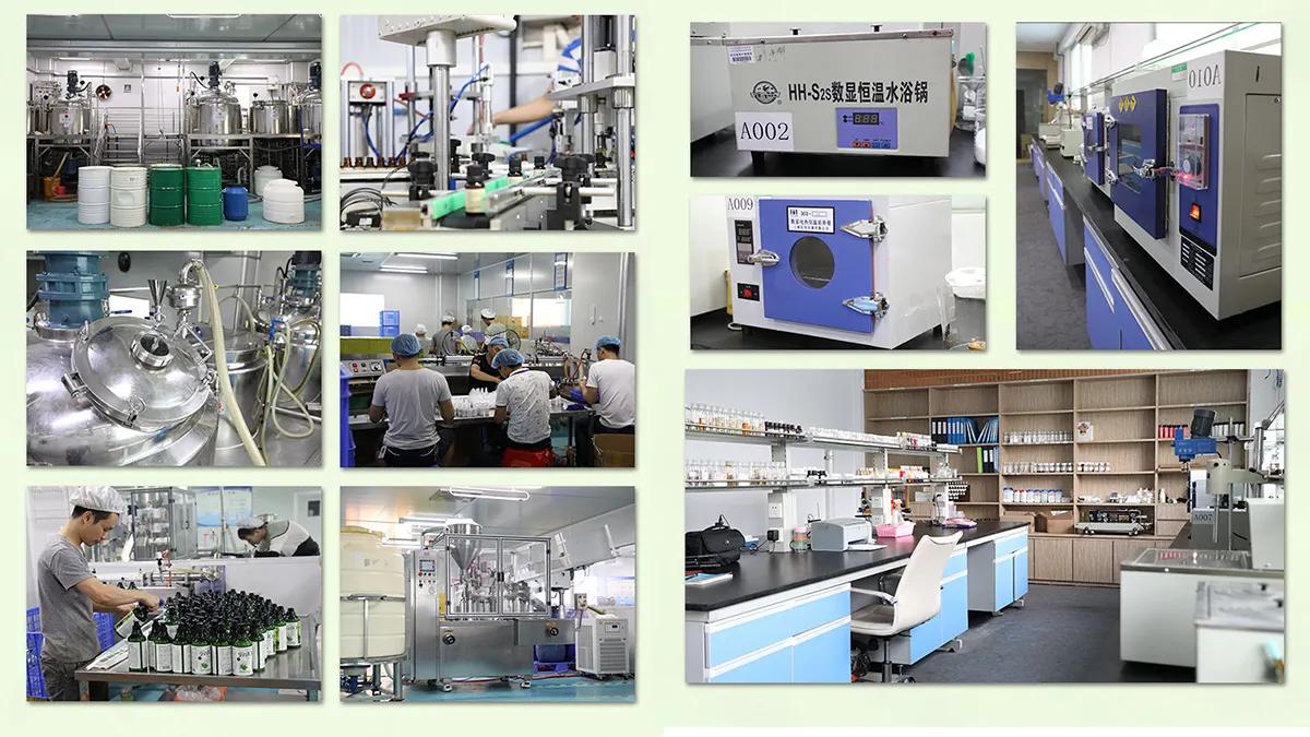 Supplier