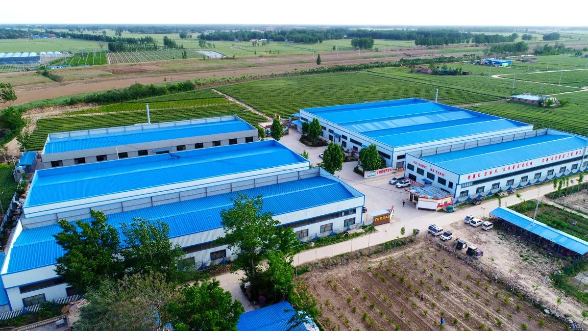Cao County Shuanglong Trading Co., Ltd.