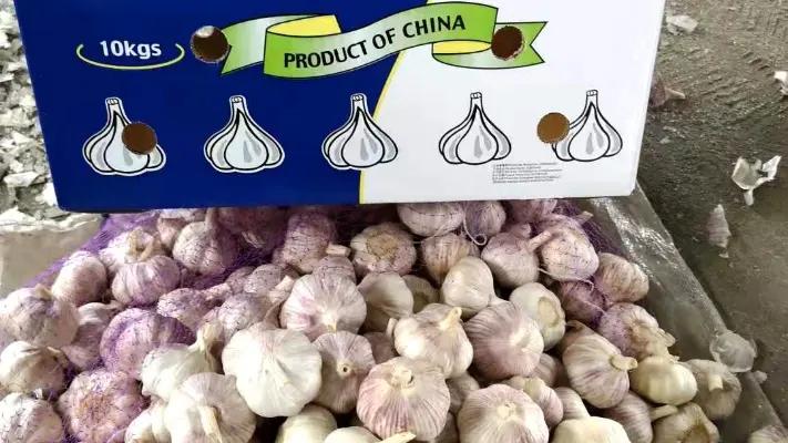 Jining Fenduni Foodstuff Co., Ltd.