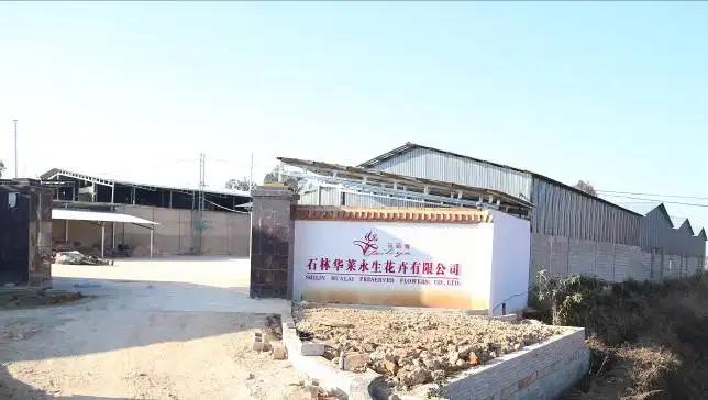 Shilin Hualai Preserved Flowers Co., Ltd.