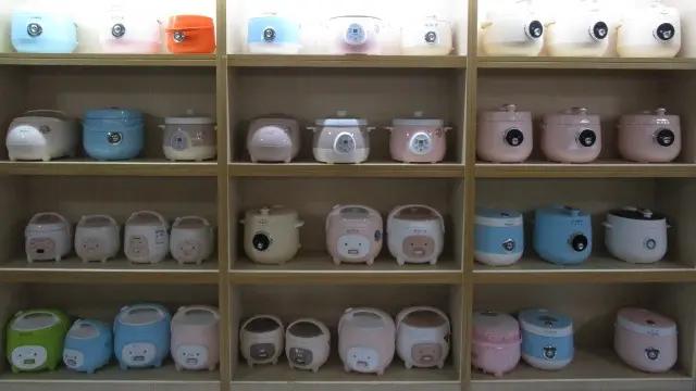 Guangdong Rich Home Appliances Co., Ltd.