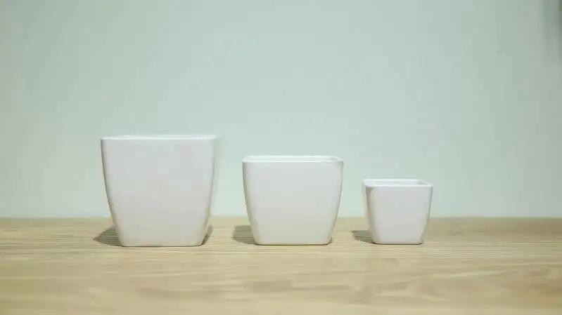 Yiwu Wangcai Household Goods Co., Ltd.