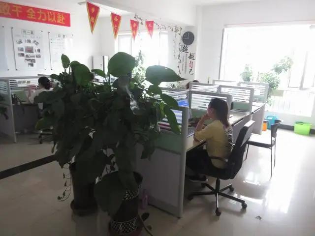 Tianjin Longteng International Trade Co., Limited