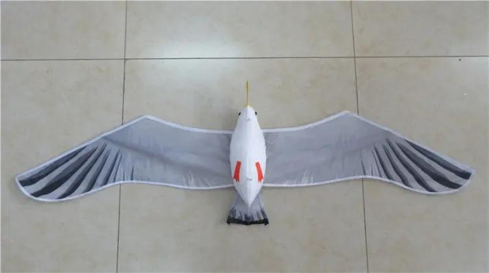 Weifang Kaixuan Kite Manufacture Co., Ltd.
