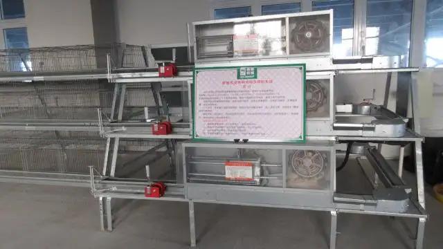 Shandong Goldenest Machinery Manufacturing Co., Ltd.