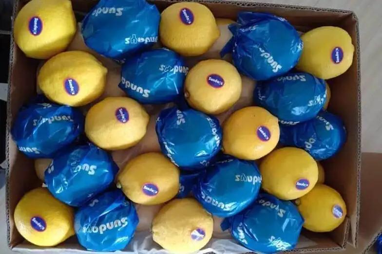 Jining Optimum Fruits & Vegetables Co., Ltd.