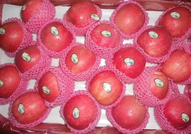 Jining Optimum Fruits & Vegetables Co., Ltd.