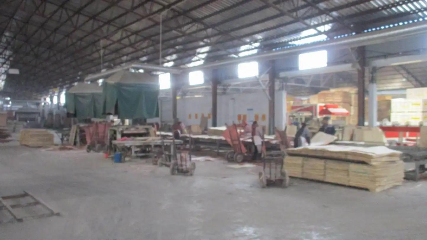 Linyi Dongstar Import & Export Co., Ltd.