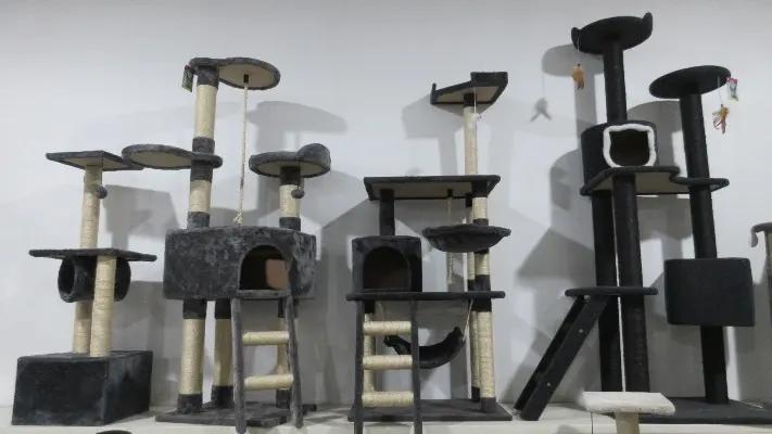 Hangzhou Rena Pet Products Co., Ltd.