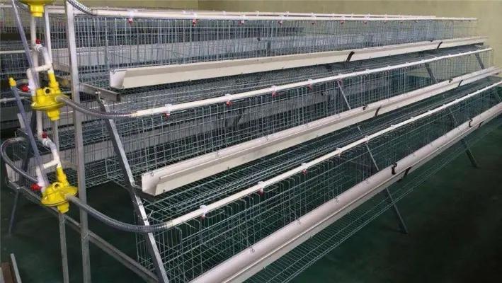 Hebei Ruikang Animal Husbandry Equipment Co., Ltd.
