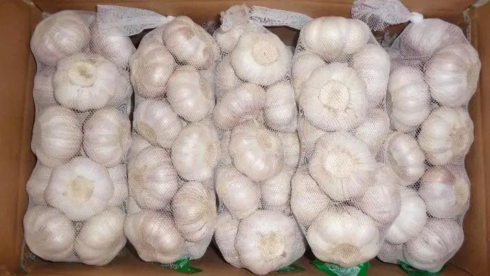 Shandong Sinofarm Food Co., Ltd.
