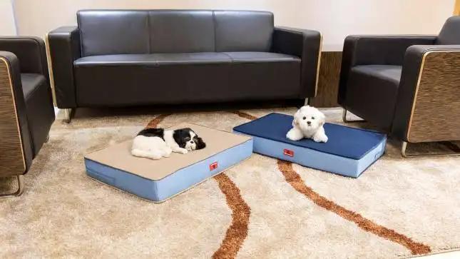 Memory Foam Products ( Nantong) Co., Ltd.