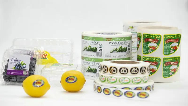 Supplier