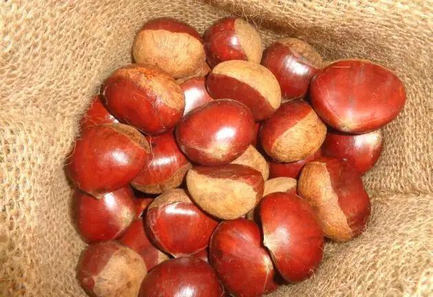 Jining Optimum Fruits & Vegetables Co., Ltd.
