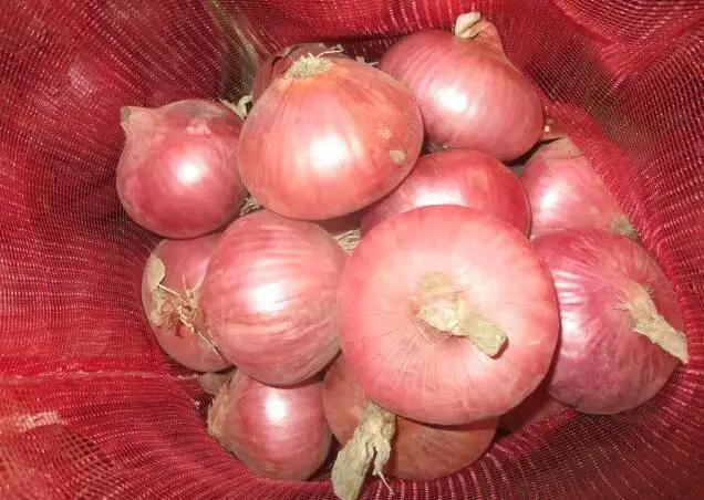 Jining Optimum Fruits & Vegetables Co., Ltd.