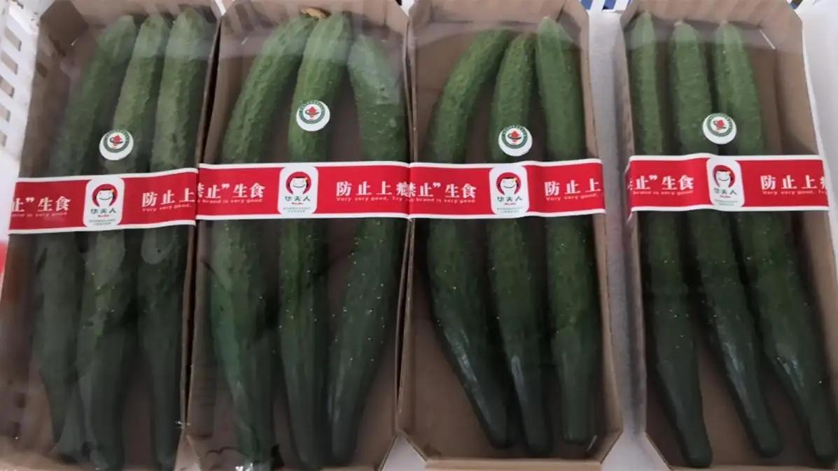 Supplier