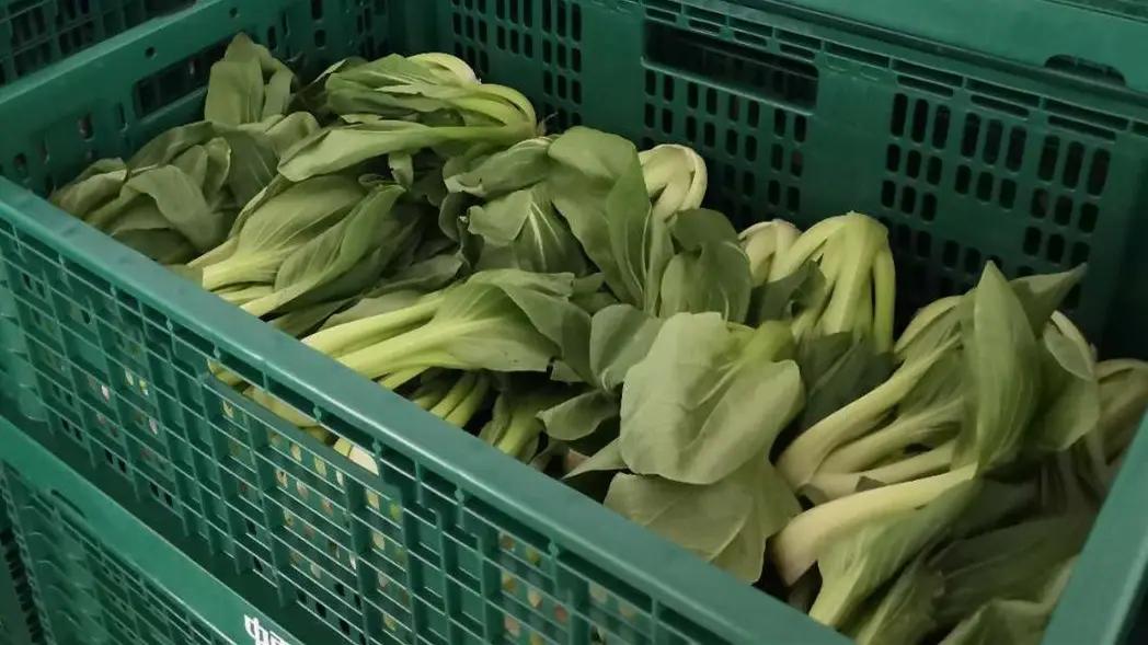 Supplier